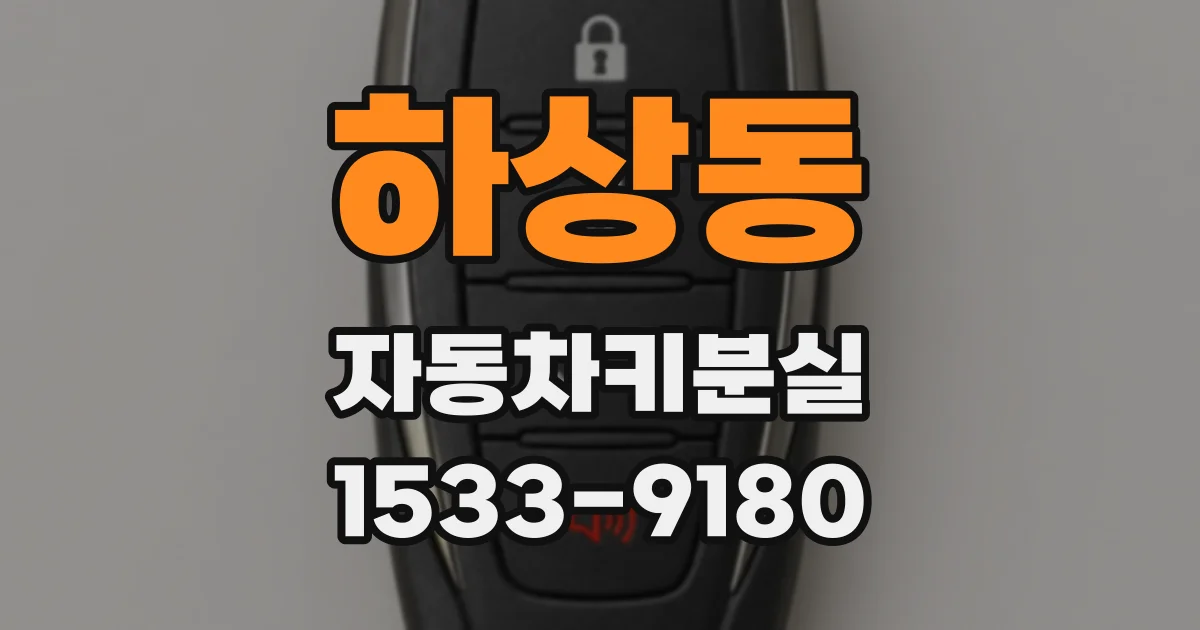 하상동 자동차키분실