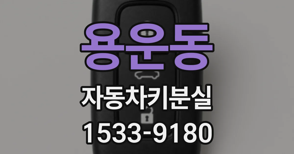 용운동 자동차키분실