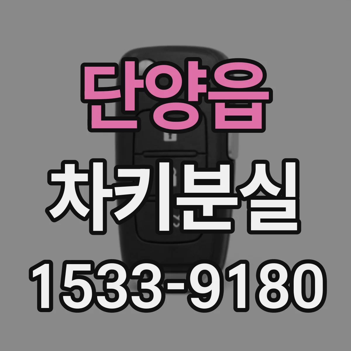 단양읍 차키분실
