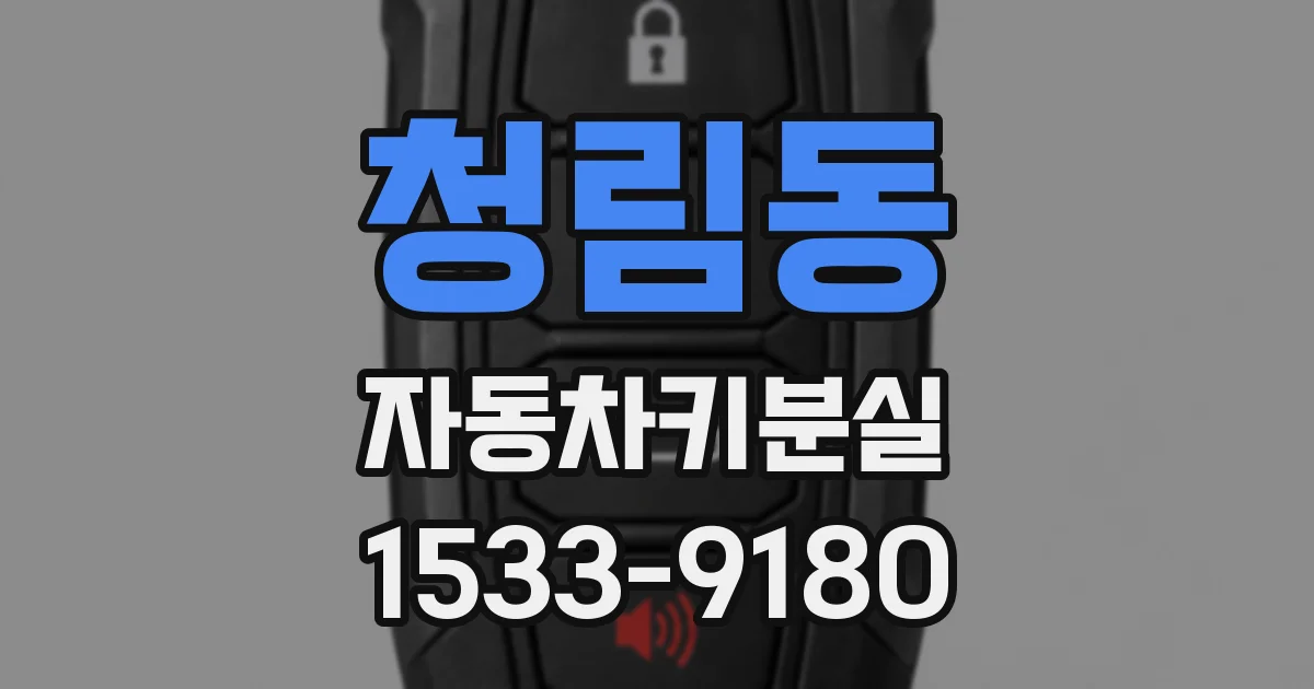 청림동 자동차키분실