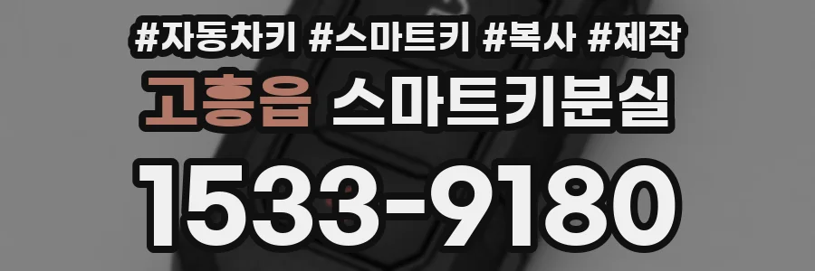 고흥읍 스마트키분실