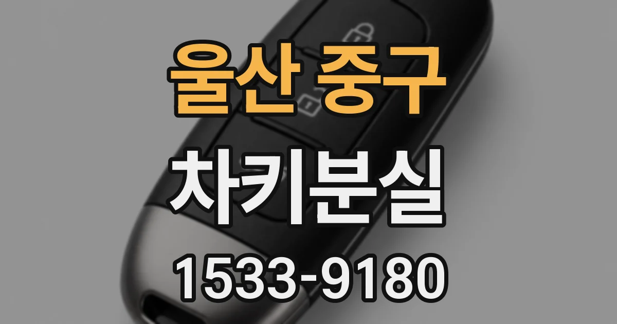 울산 중구 차키분실