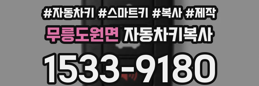 무릉도원면 자동차키복사