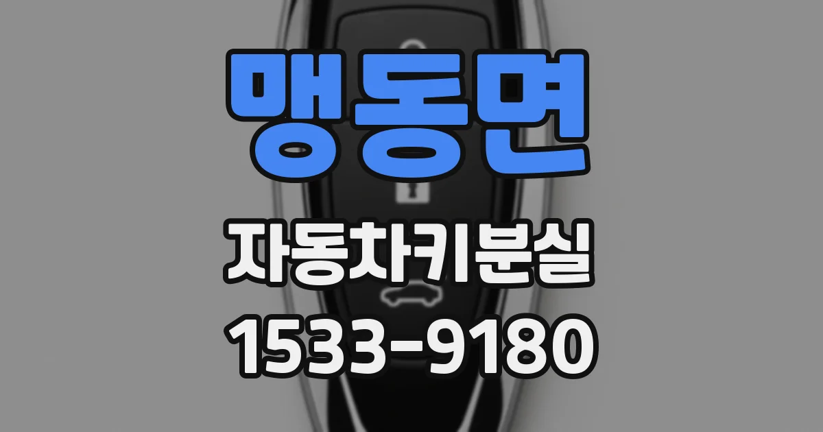 맹동면 자동차키분실