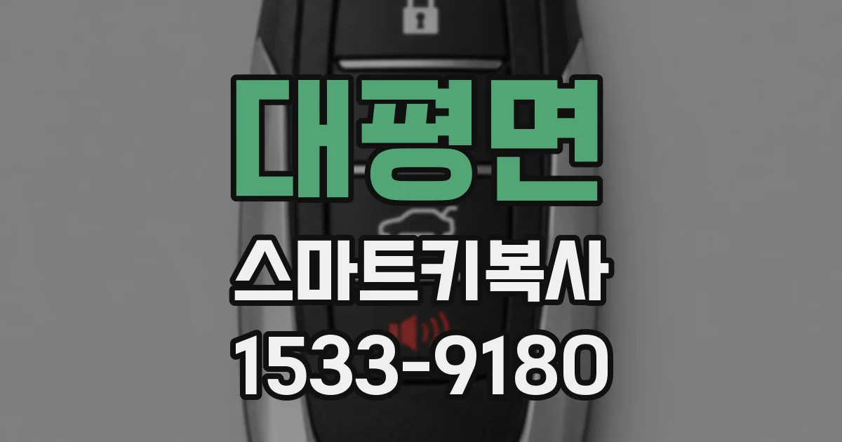 대평면 스마트키복사