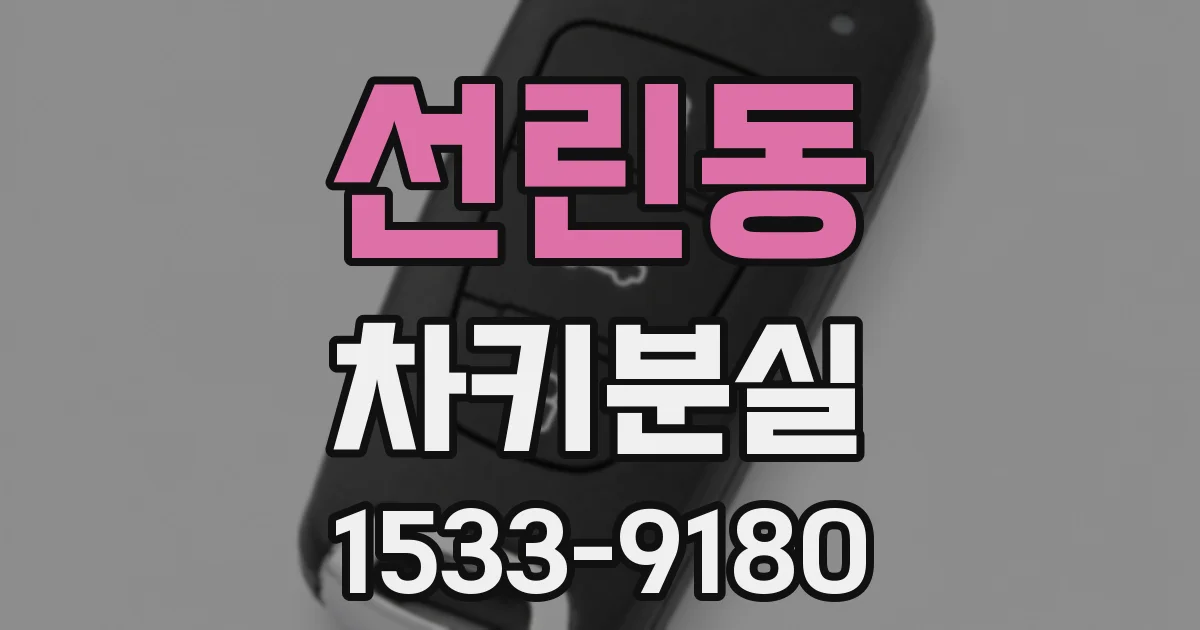선린동 차키분실