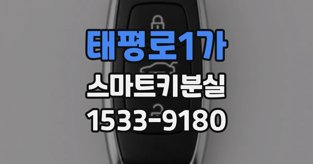 태평로1가 스마트키분실