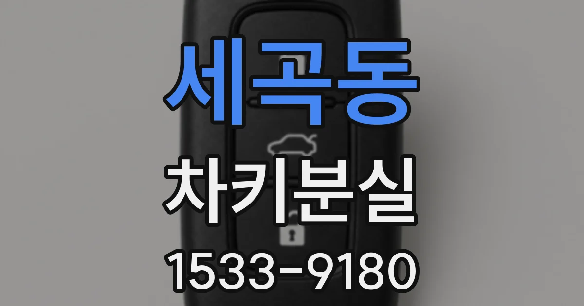 세곡동 차키분실