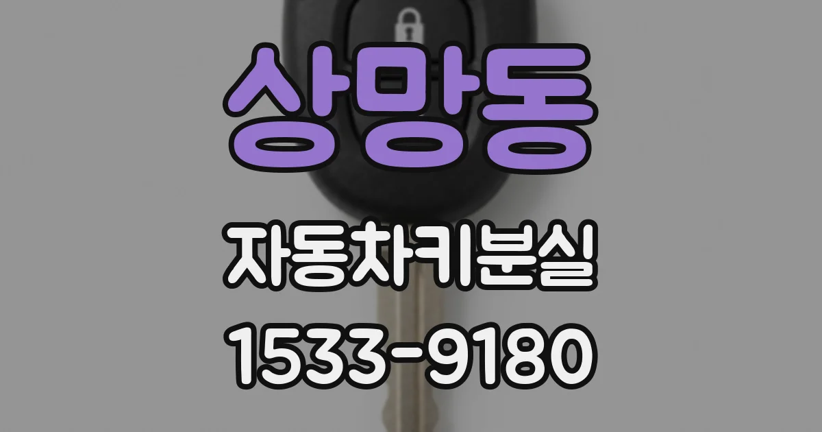 상망동 자동차키분실