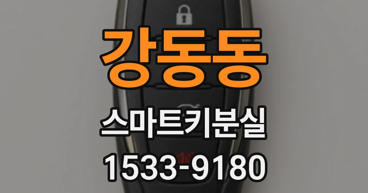 강동동 스마트키분실