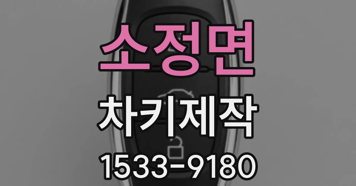 소정면 차키제작