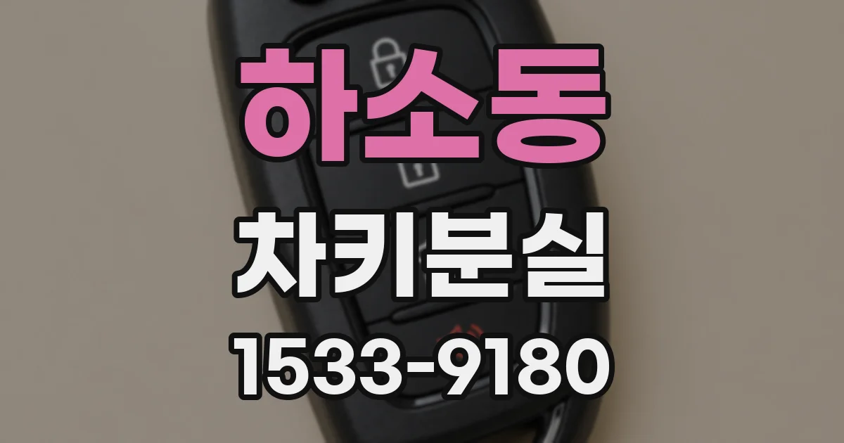 하소동 차키분실
