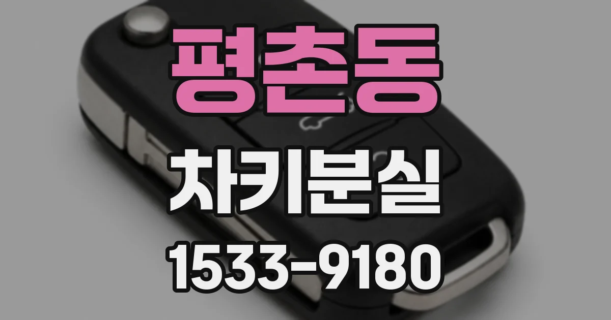 평촌동 차키분실