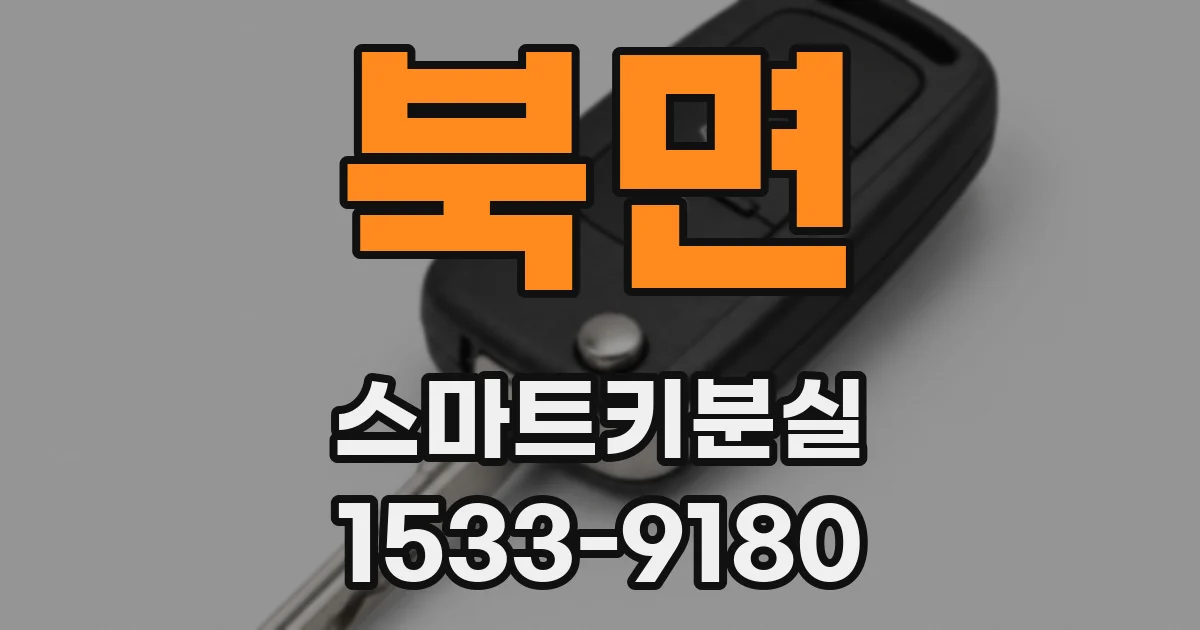 북면 스마트키분실