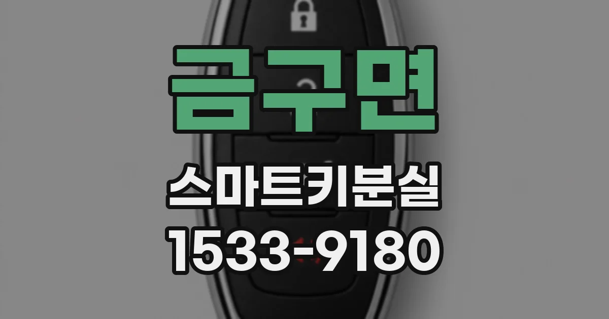 금구면 스마트키분실