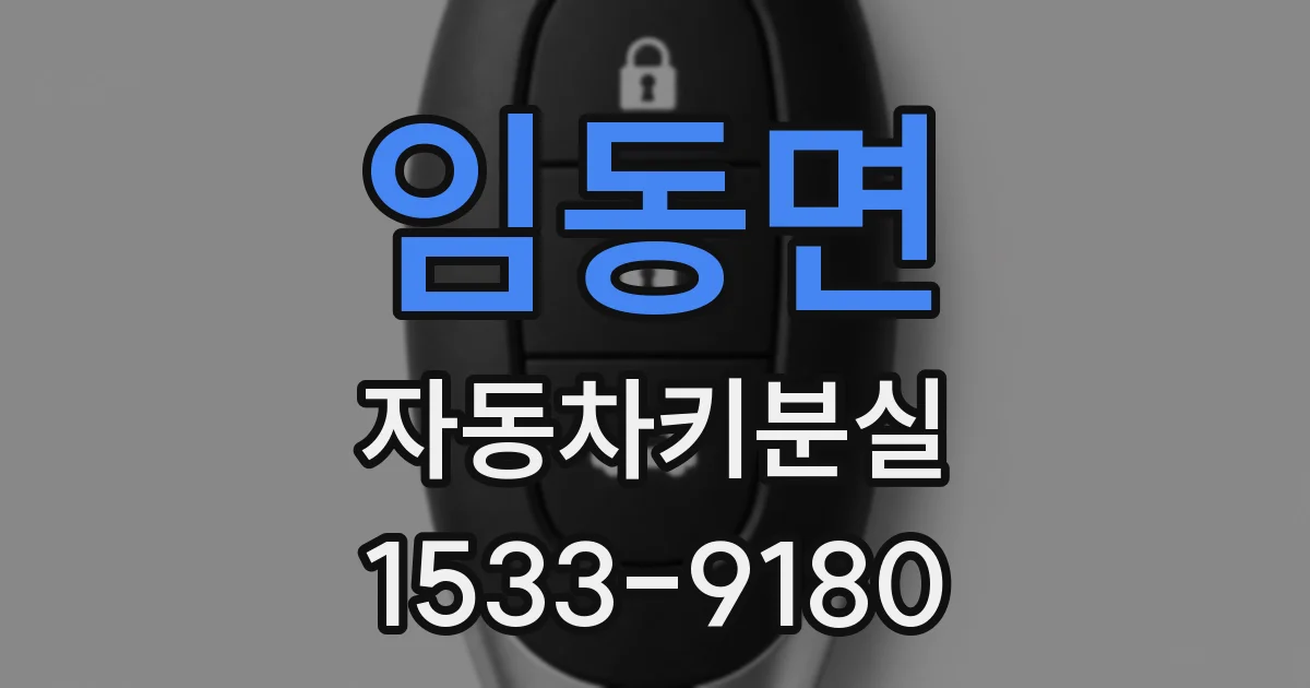 임동면 자동차키분실