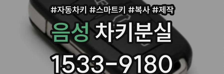 음성 차키분실