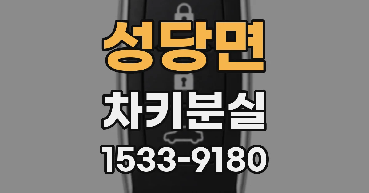 성당면 차키분실