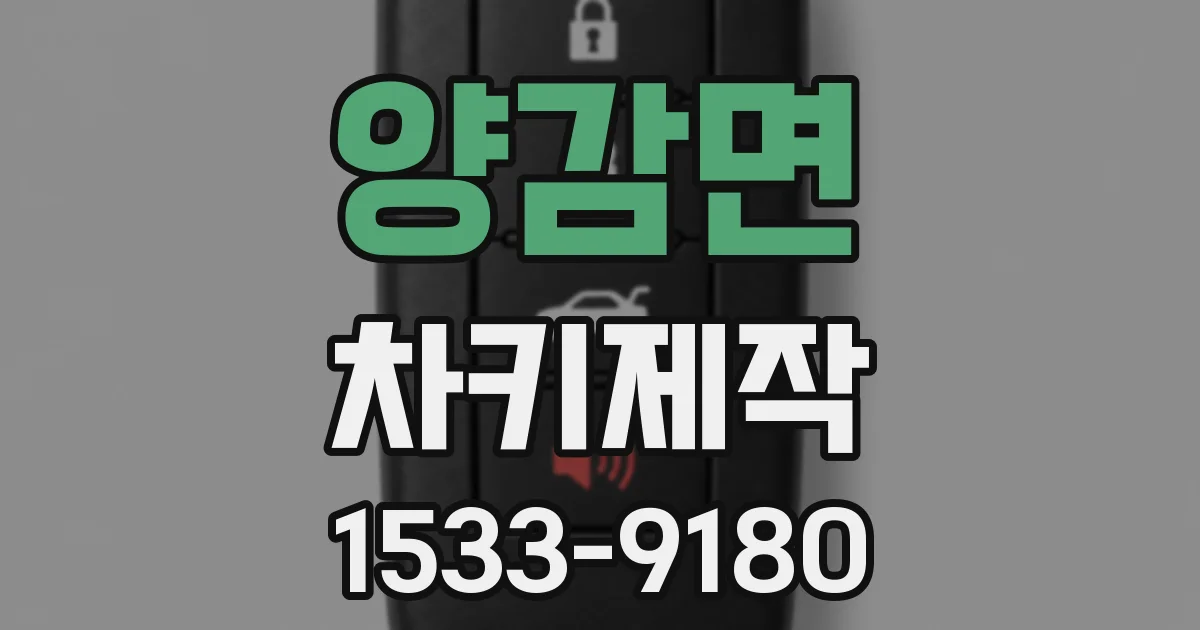 양감면 차키제작