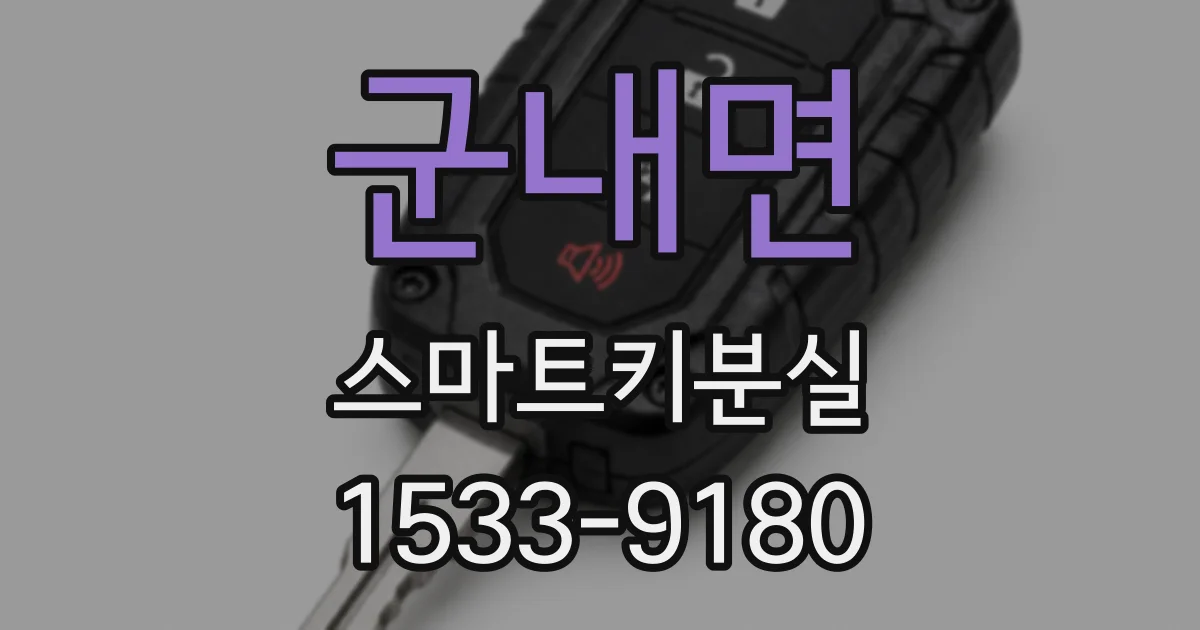 군내면 스마트키분실