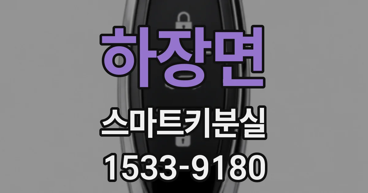 하장면 스마트키분실