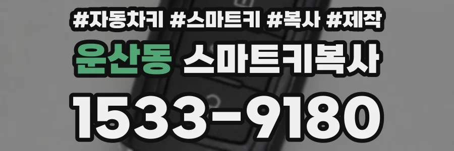 운산동 스마트키복사