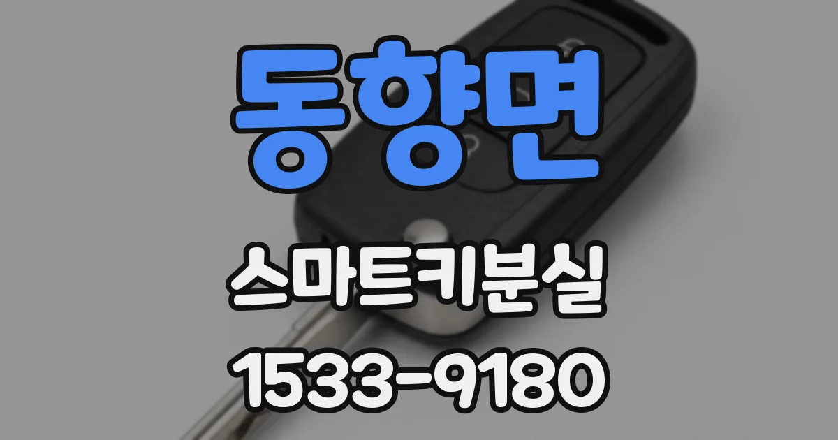 동향면 스마트키분실