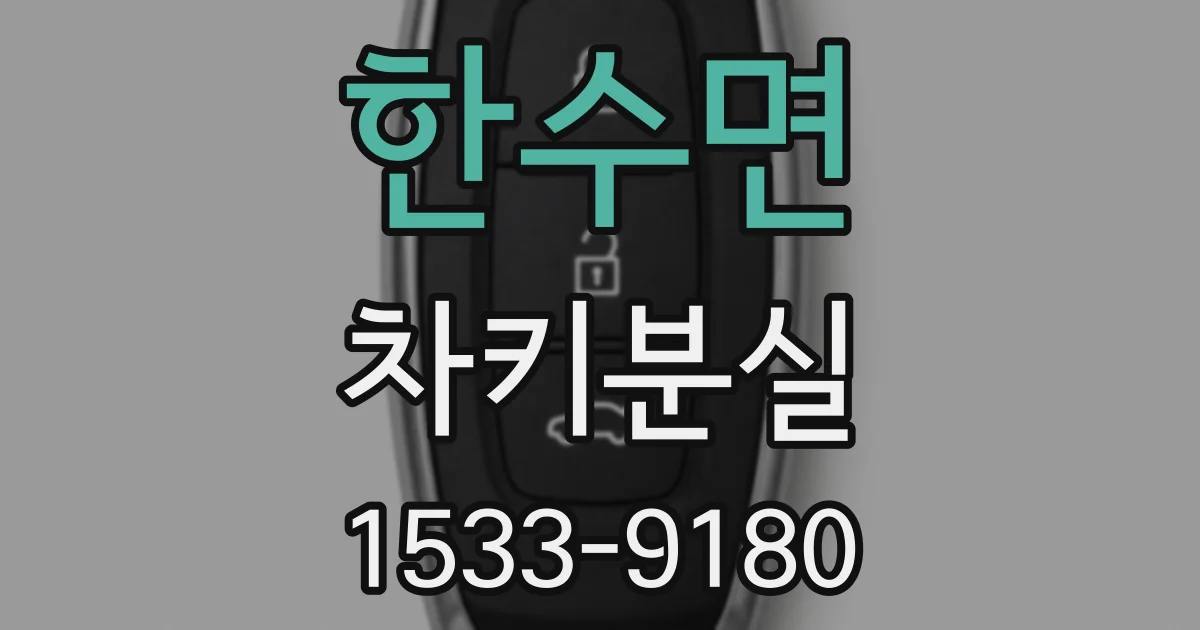 한수면 차키분실