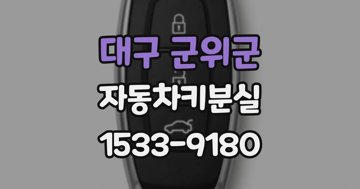 대구 군위군 자동차키분실