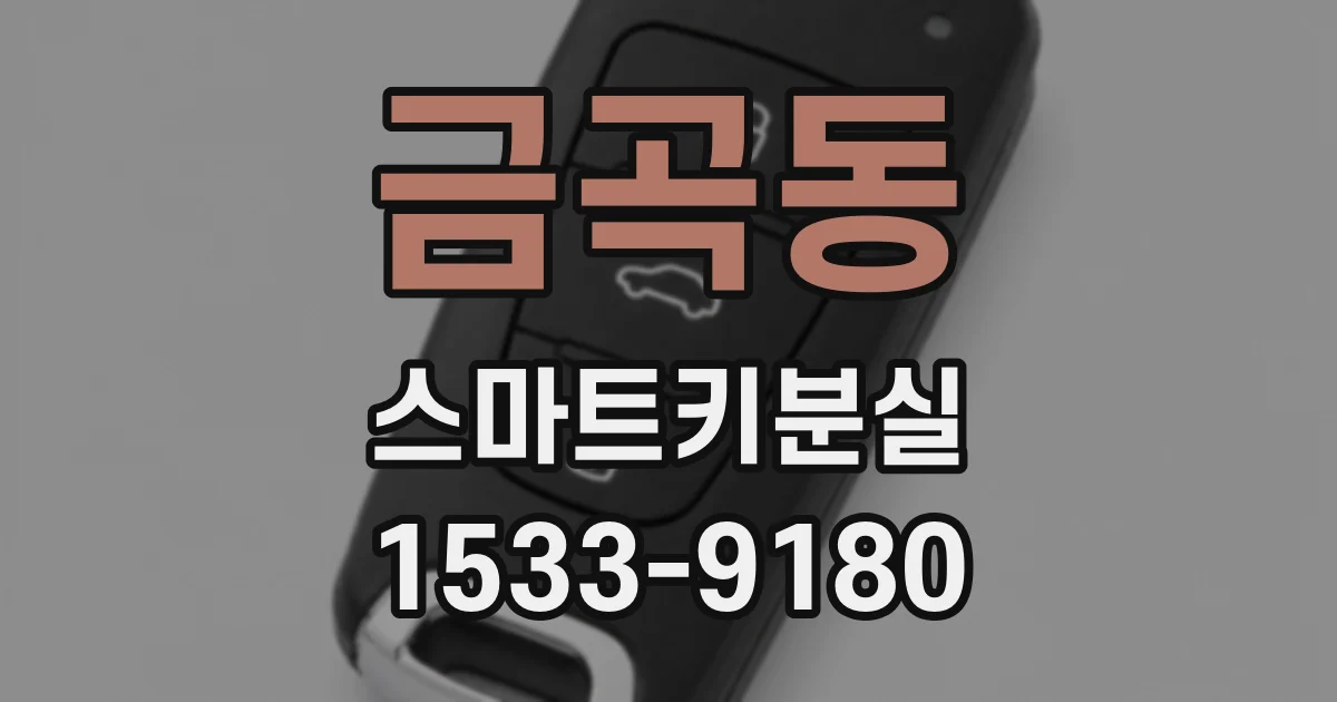 금곡동 스마트키분실