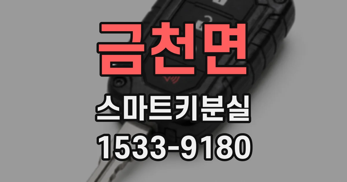 금천면 스마트키분실