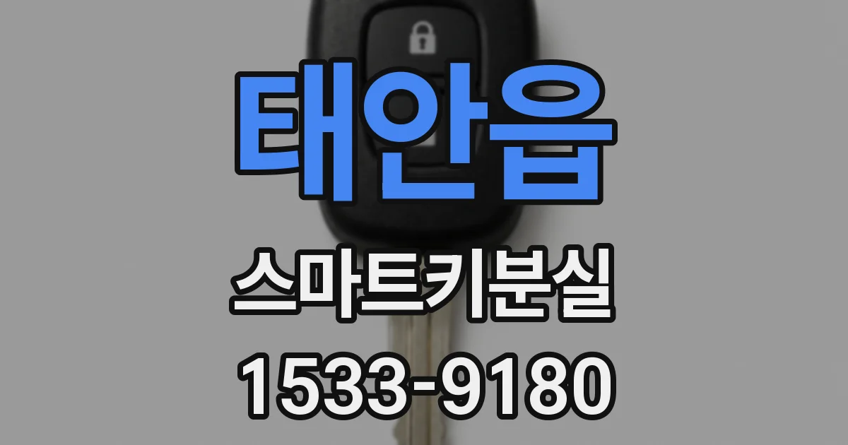 태안읍 스마트키분실
