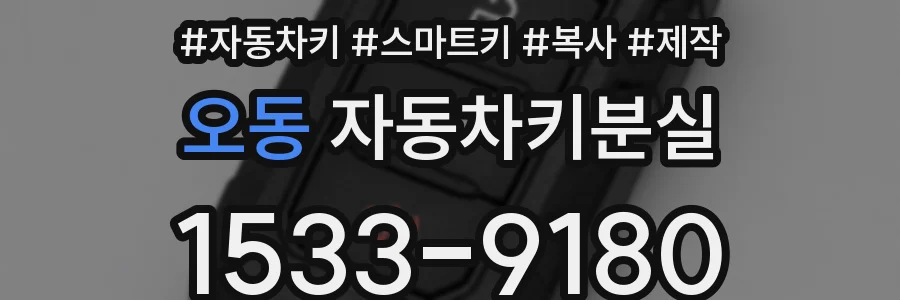 오동 자동차키분실