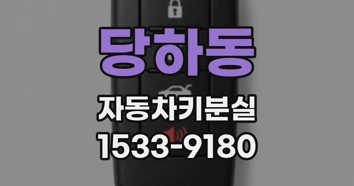 당하동 자동차키분실