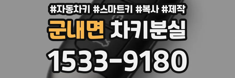 군내면 차키분실