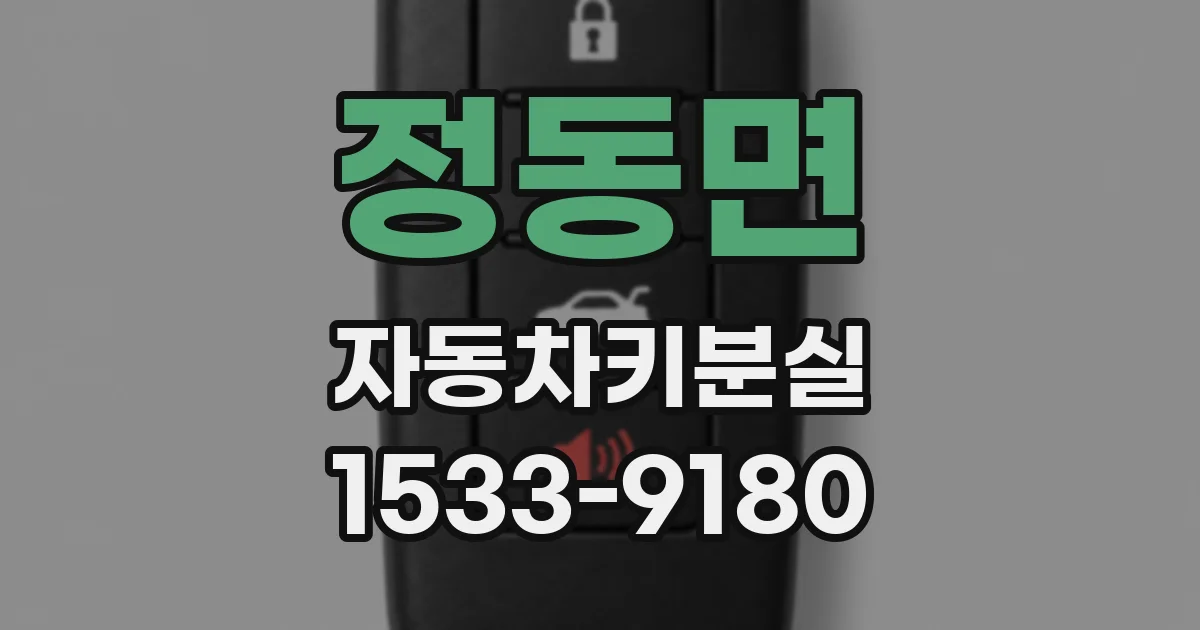 정동면 자동차키분실
