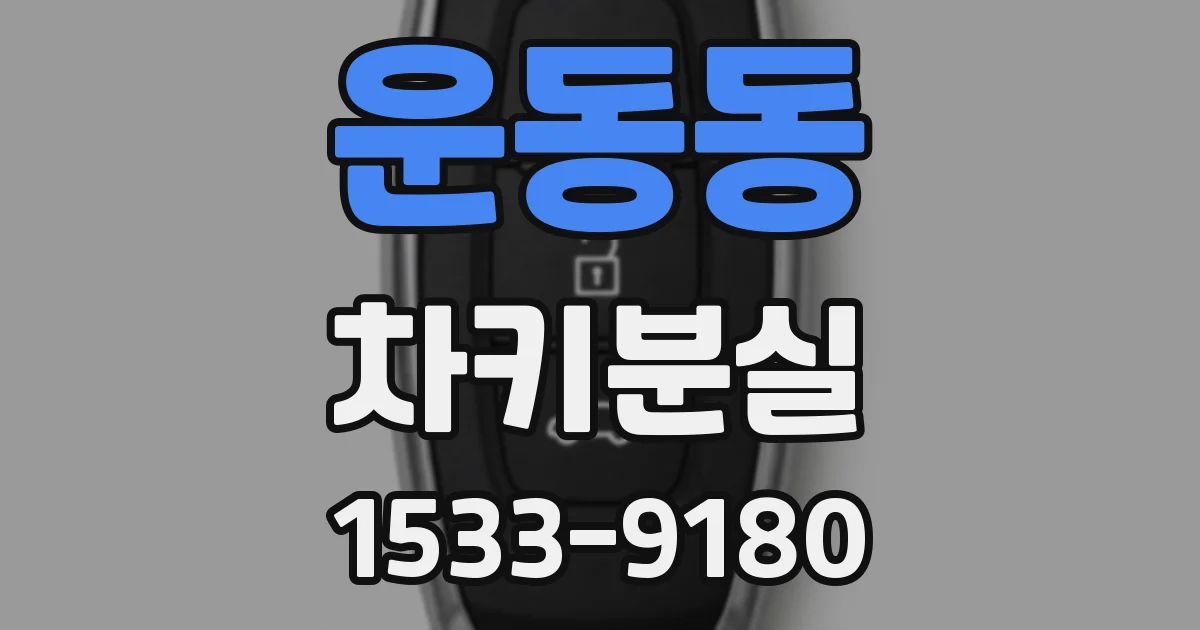 운동동 차키분실