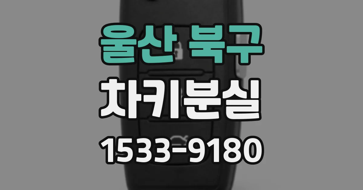 울산 북구 차키분실