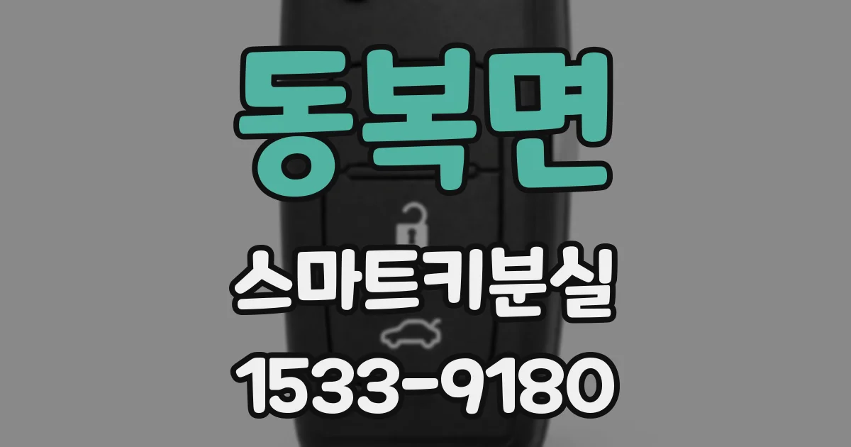 동복면 스마트키분실
