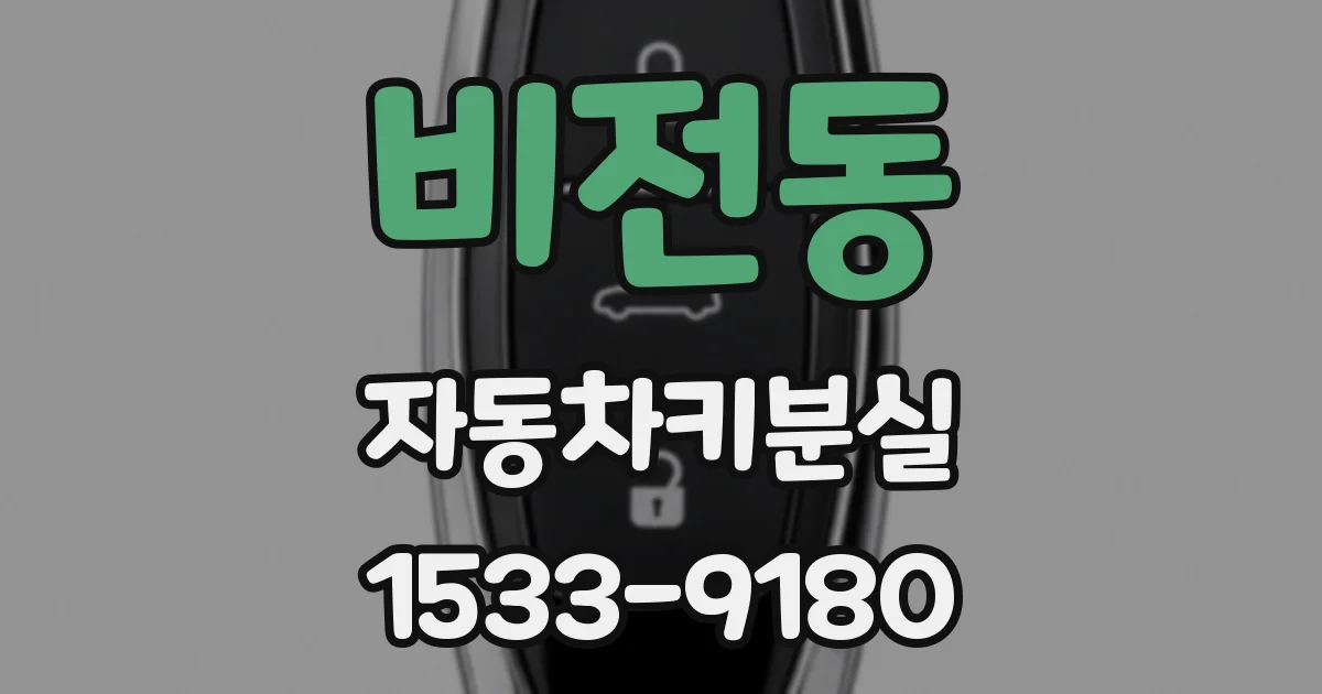 비전동 자동차키분실