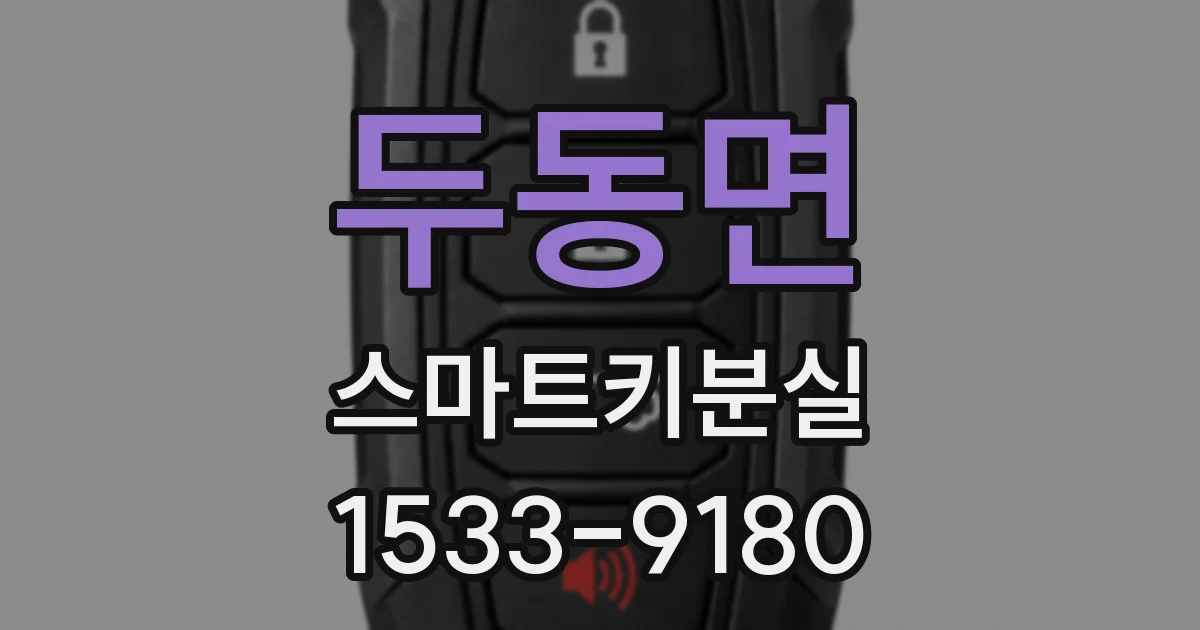 두동면 스마트키분실