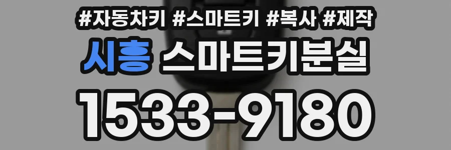 시흥 스마트키분실