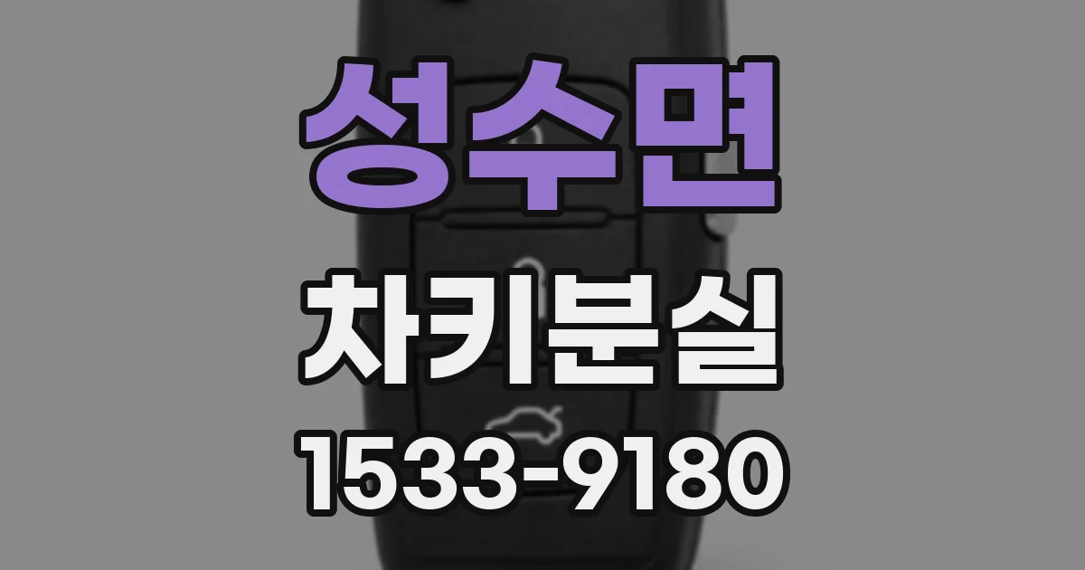 성수면 차키분실