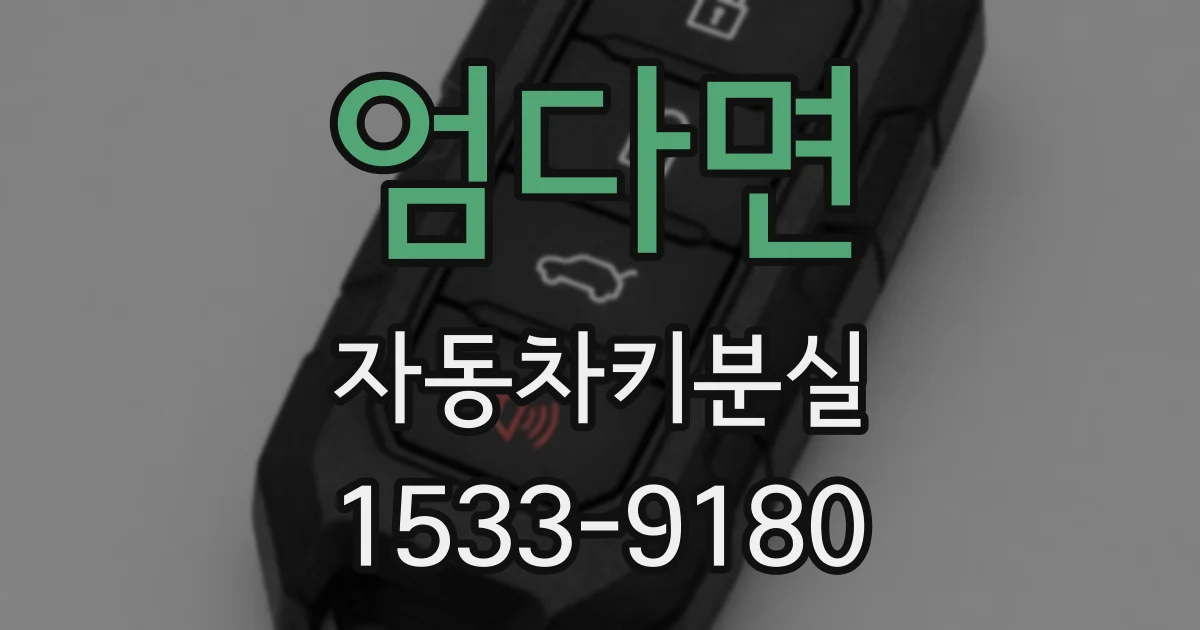 엄다면 자동차키분실
