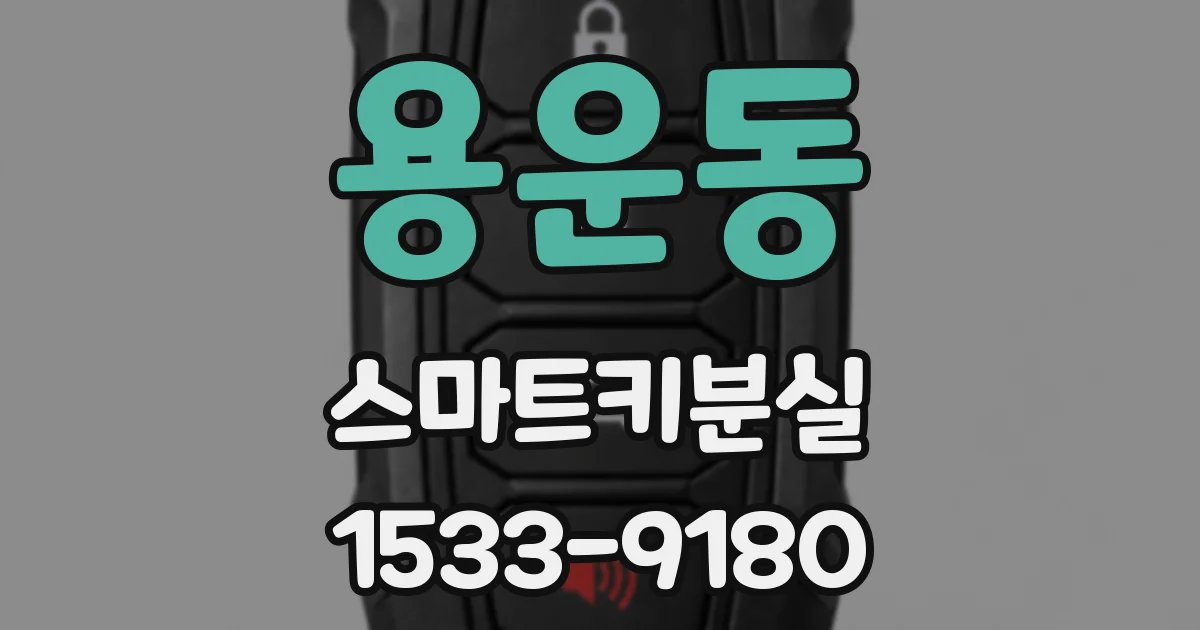 용운동 스마트키분실