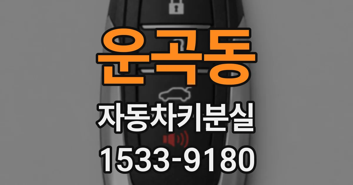 운곡동 자동차키분실