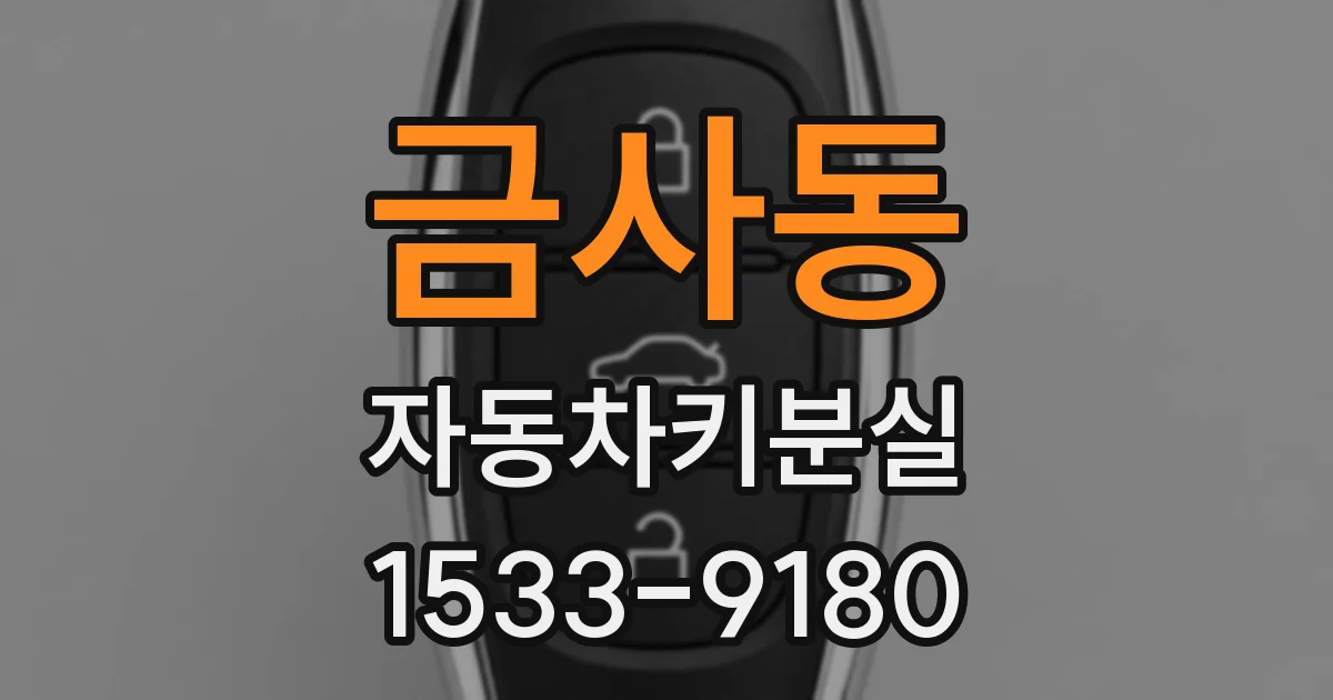금사동 자동차키분실