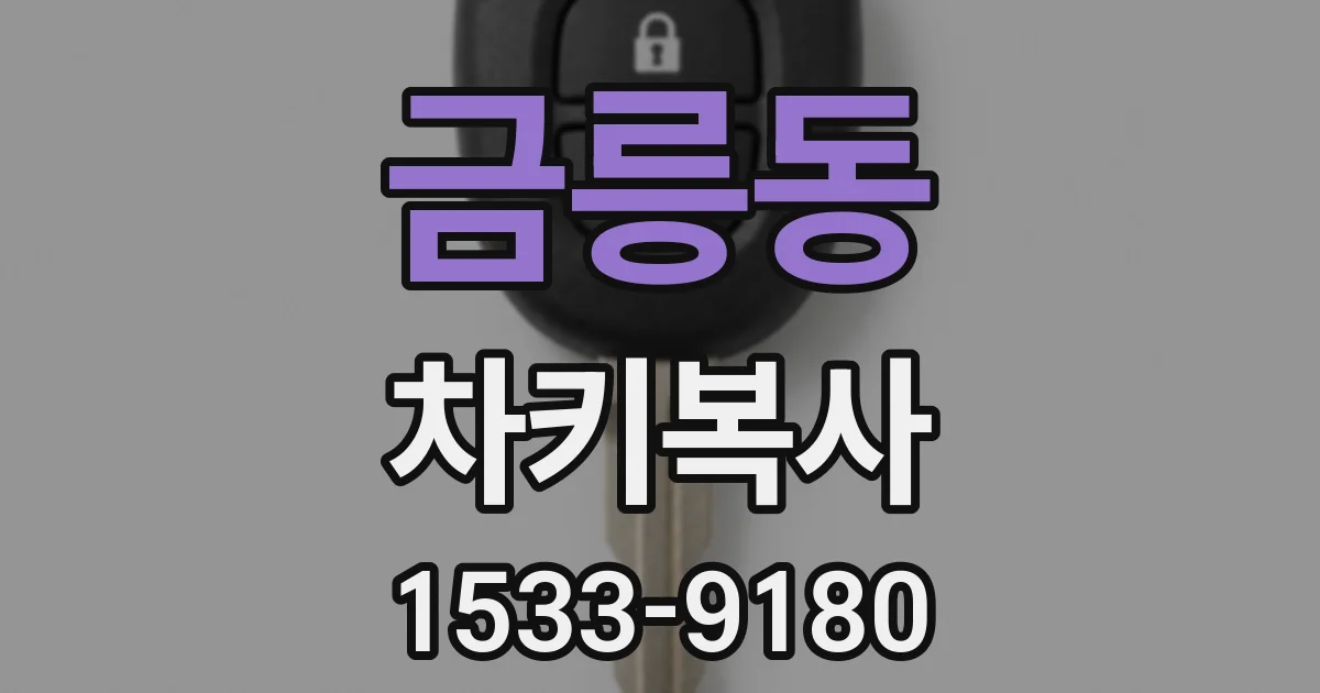 금릉동 차키복사