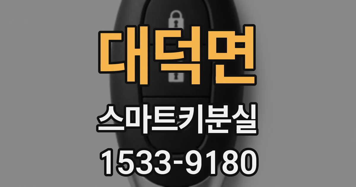 대덕면 스마트키분실