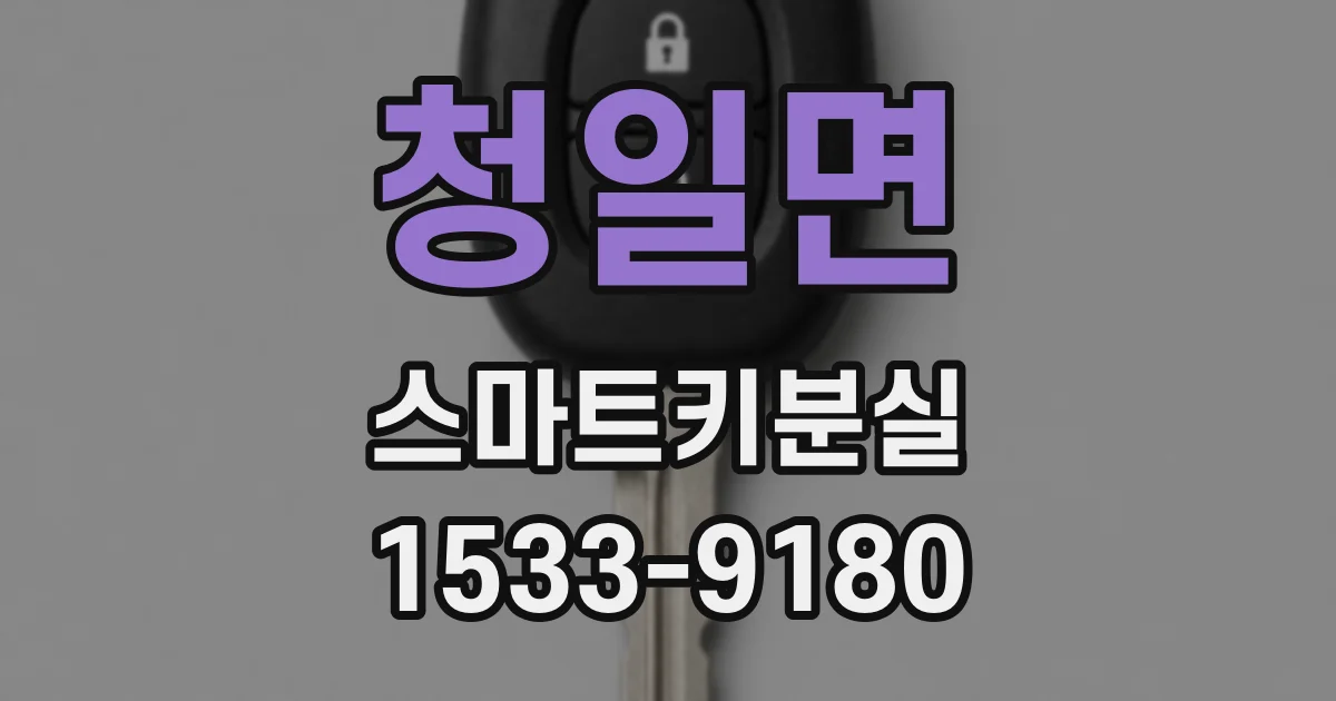 청일면 스마트키분실